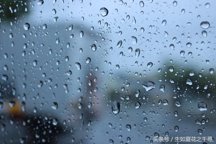 去兰卡威红树林,去兰卡威怎么玩