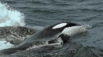 等了17年,等了你十七年