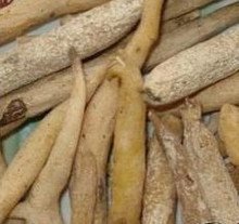 人参怎么挑选野山参,如何选择人参最好