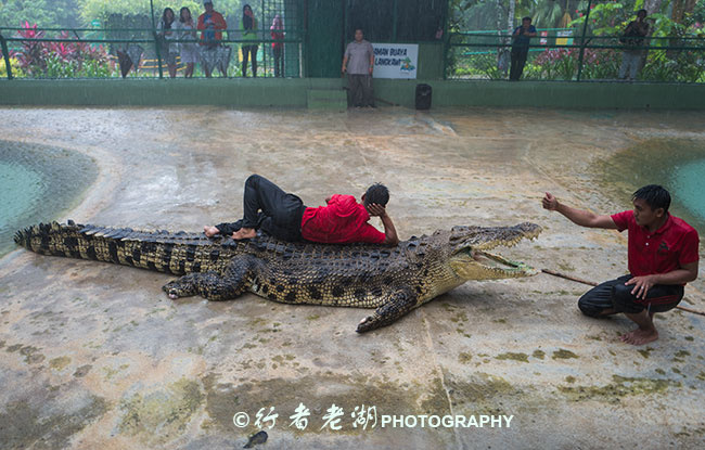 兰卡威最全攻略,兰卡威汽车轮渡到兰卡威什么地方