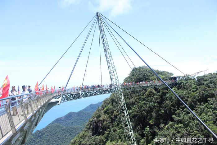 去兰卡威红树林,去兰卡威怎么玩