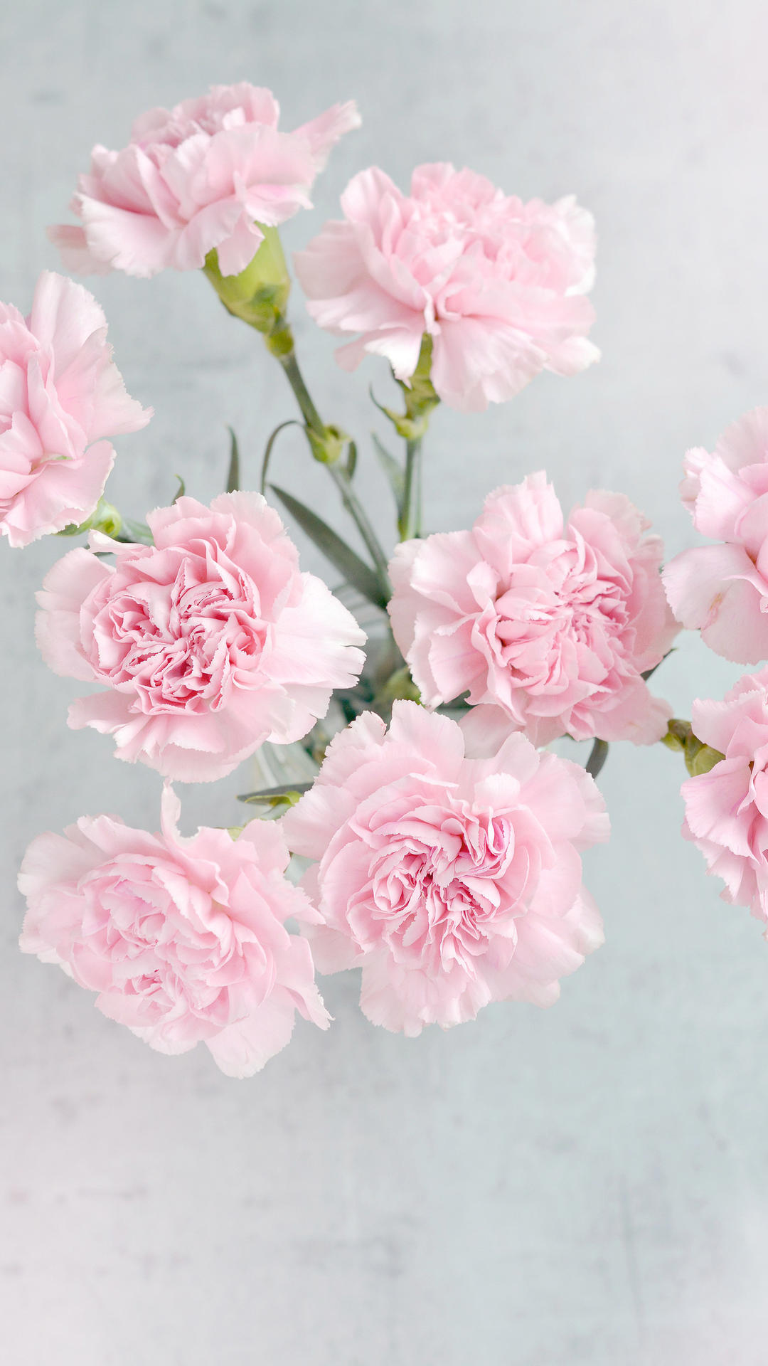 锁屏和桌面壁纸一套唯美,4k佛系唯美意境黑色锁屏壁纸