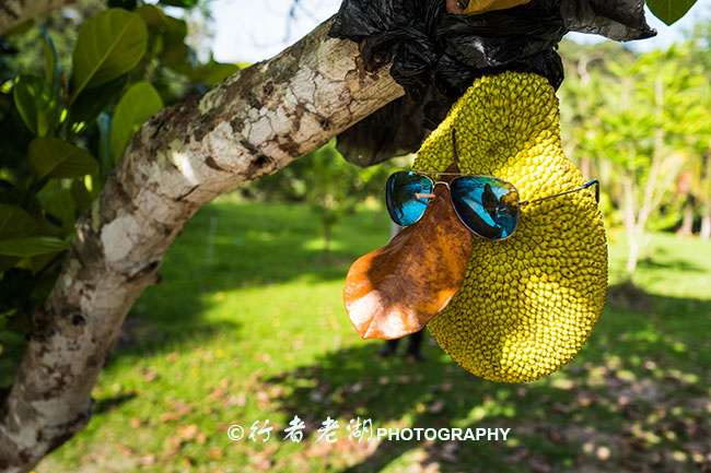 兰卡威旅游路线图,兰卡威自驾游最佳路线图