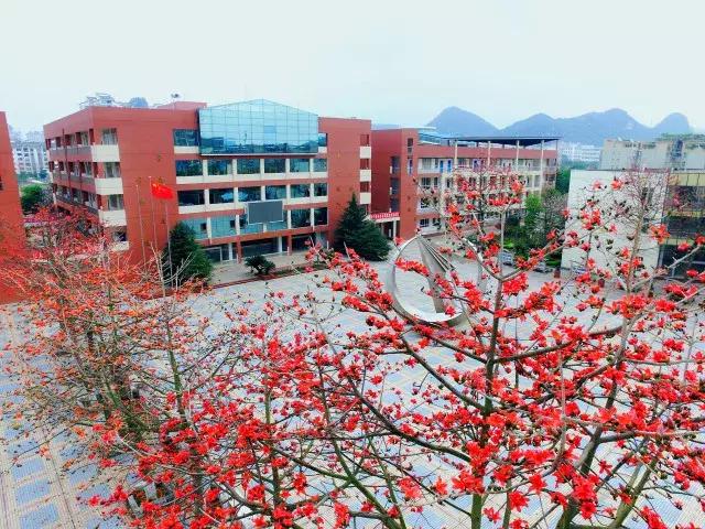 柳州市第十二中学静兰校区,柳州第十二中学文昌校区