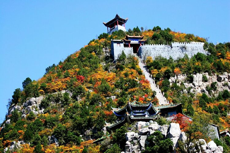 秋韵流过的晋城红