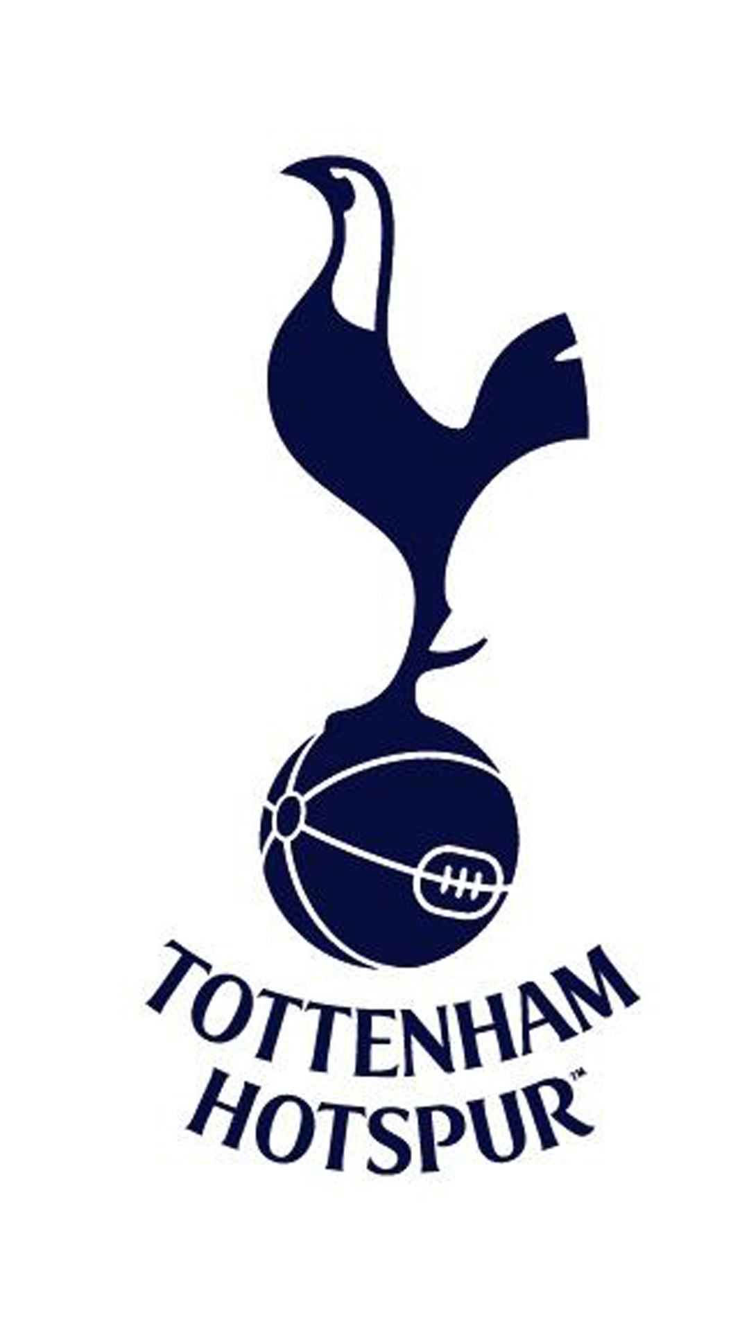 足球高清壁纸8k手机壁纸,足球队标手机壁纸