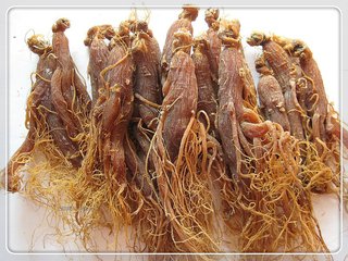 人参怎么挑选野山参,如何选择人参最好