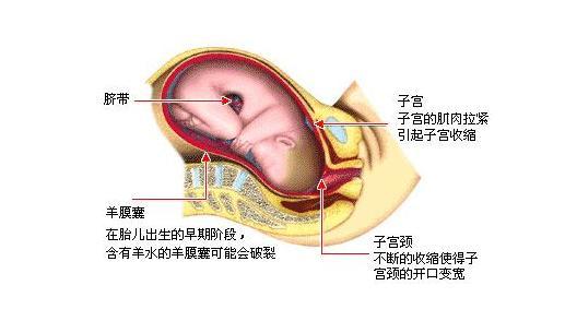 生孩子开十指有多痛,生孩子开十指有多可怕