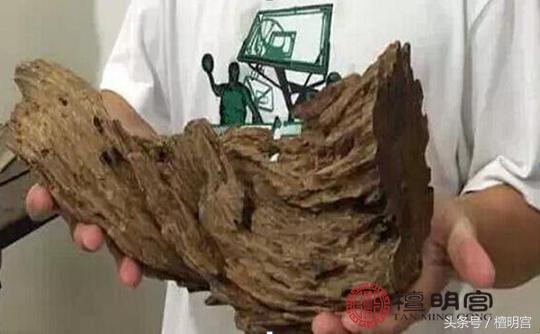 小小一棵价值上万奇楠沉香,木中钻石奇楠沉香比黄金燕窝还贵