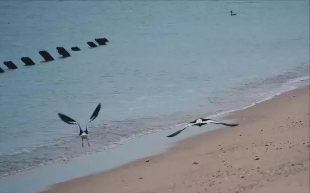 不旅行如何消耗时间,不去旅行不出门国庆假期要怎么过