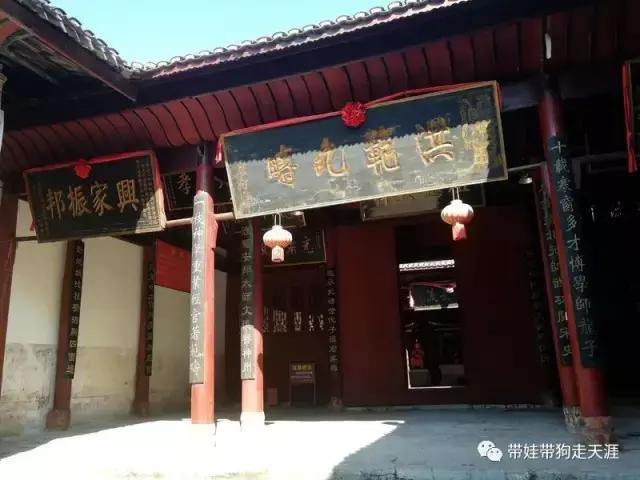 开着房车去遛娃,开着房车带狗狗出去玩