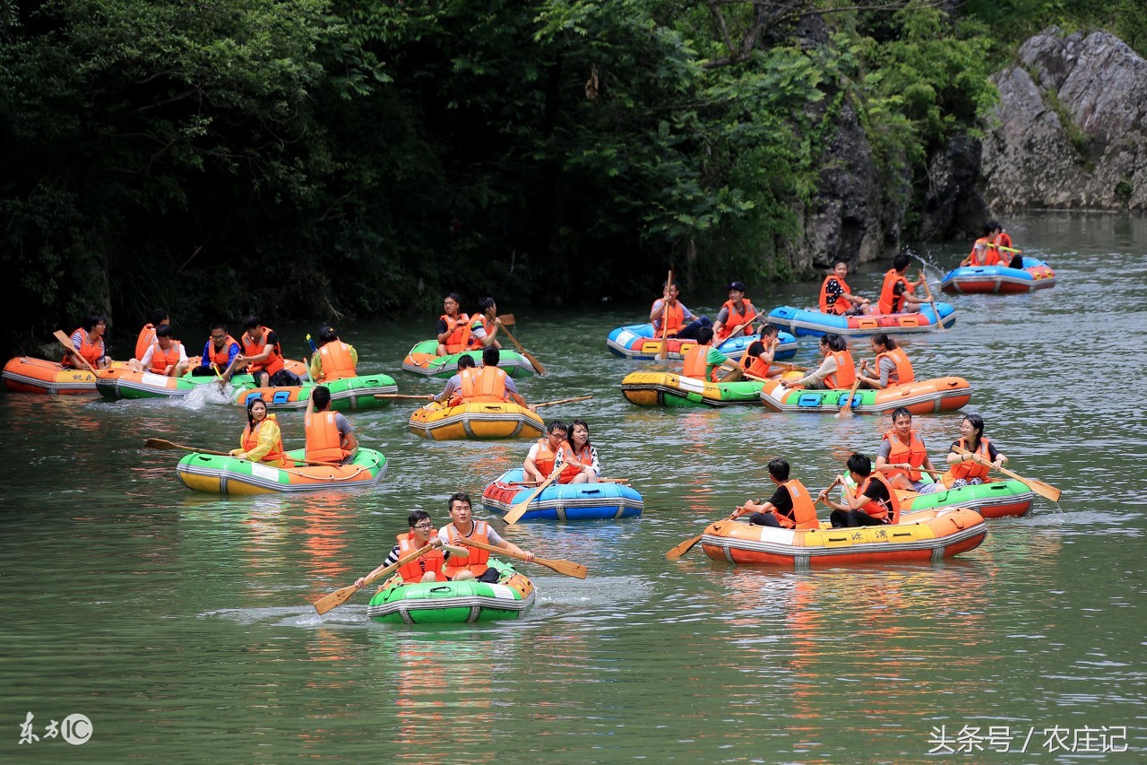 大连农家院哪个好玩,大连金州400平农家院
