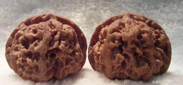 各种各样的文玩核桃图片,各种文玩的核桃图片