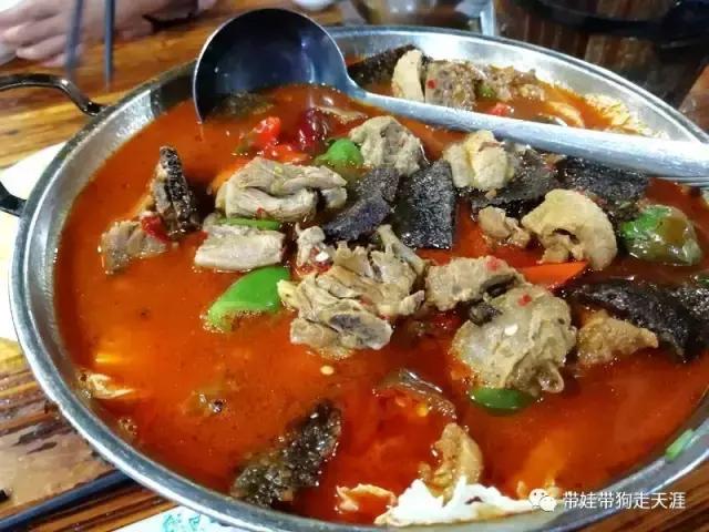 开着房车去遛娃,开着房车带狗狗出去玩