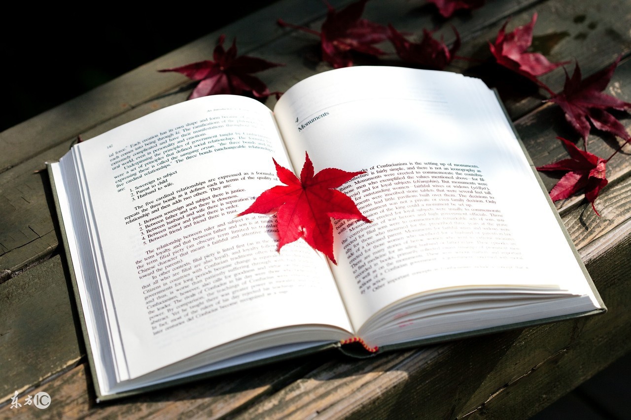 非鸡汤原唱,不需要鸡汤激励自己