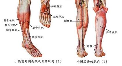 小腿肚子粗怎样通过锻炼改善,小腿粗怎么改善最好视频