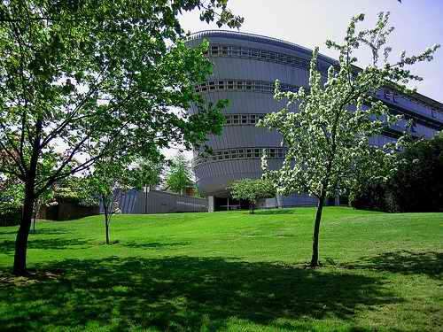 英国的顶尖大学之一——萨里大学