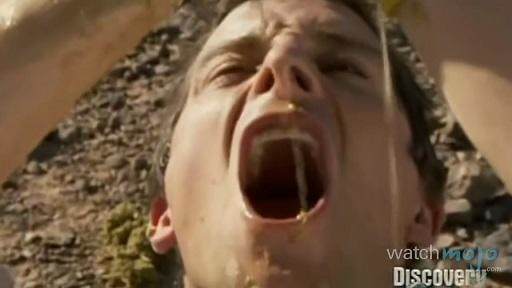 贝爷荒野求生吃恶心的东西,贝爷恶心的十大时刻