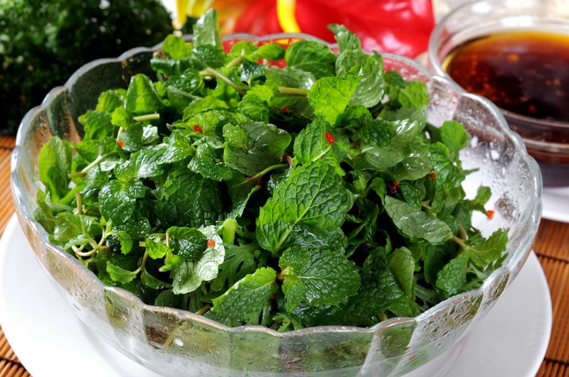 大叶留兰香薄荷都可以吃吗,吃薄荷会闻不到刺鼻的气味吗