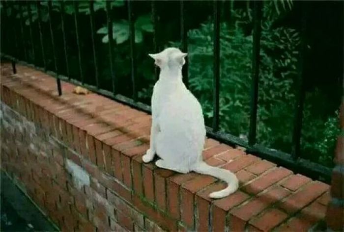 这些酷到没朋友的朋友圈和qq空间的背景图