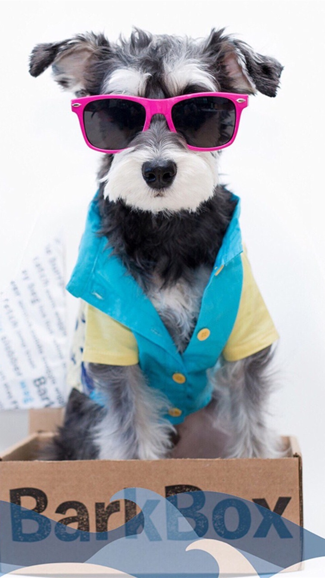 唯美1080×1920P高清壁纸锁屏画面待机背景图！请在wifi环境查看