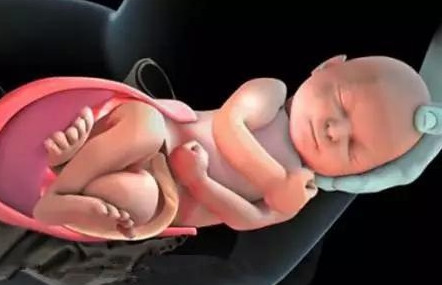 胎儿那么大怎么生出来,顺产胎儿怎么从产道出来