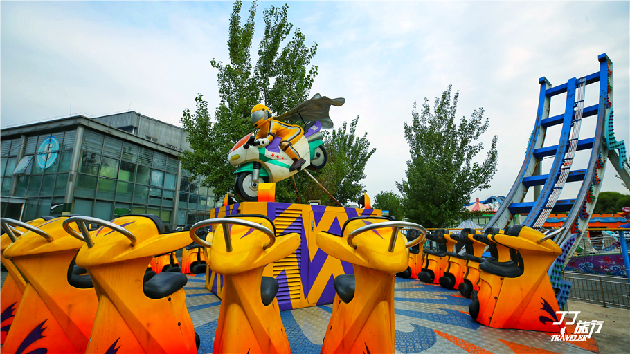 一起去寻找儿时的时光,秋天寻找儿时的记忆