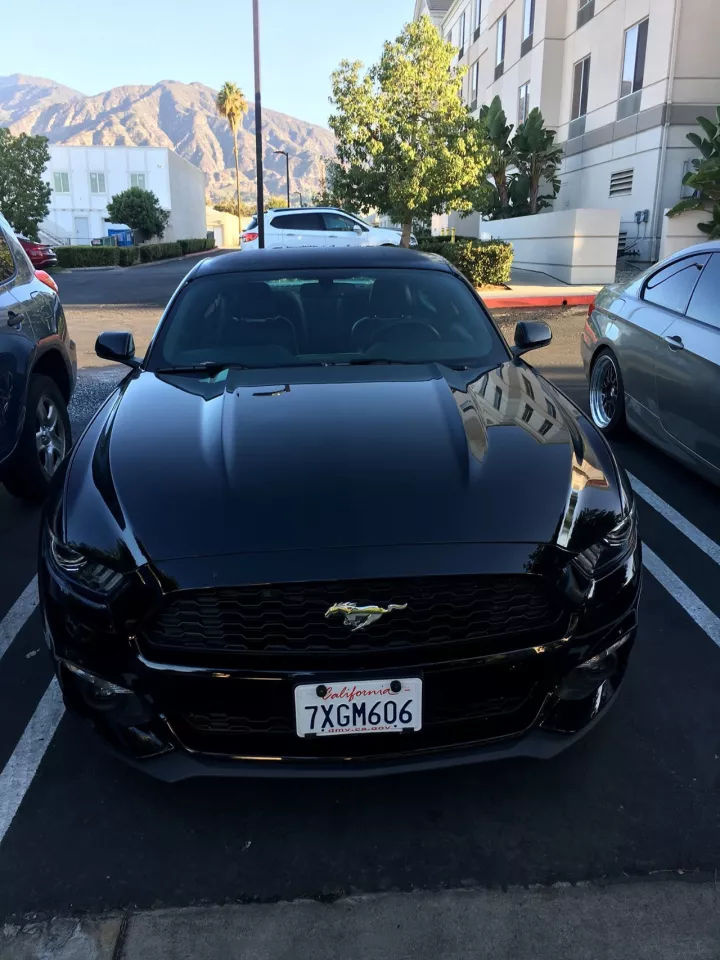 北美野马,试驾福特野马