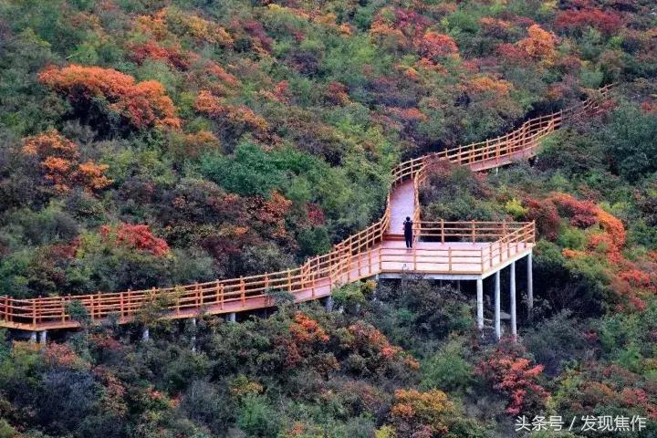 2016年焦作红叶节,焦作神农山红叶节