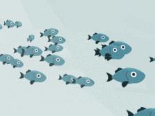 婴幼儿dha海藻油一岁,婴幼儿dha藻油列表