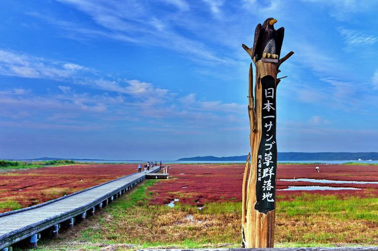 九月东游，秋风初至北海道