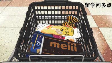 澳洲好吃的零食排行榜前十名,澳洲留学生正餐菜谱