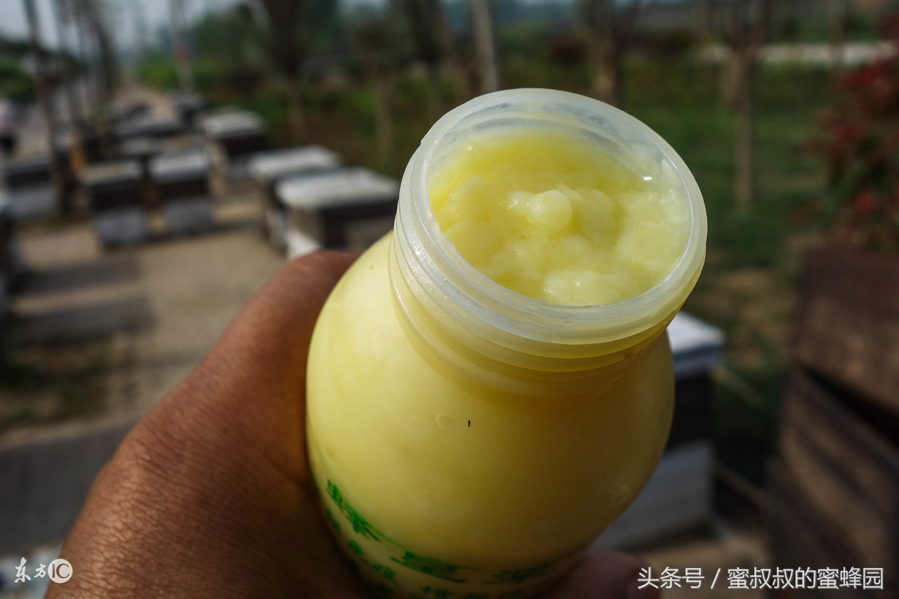 如何选购正宗的蜂王浆,哪些蜂王浆欢迎选购