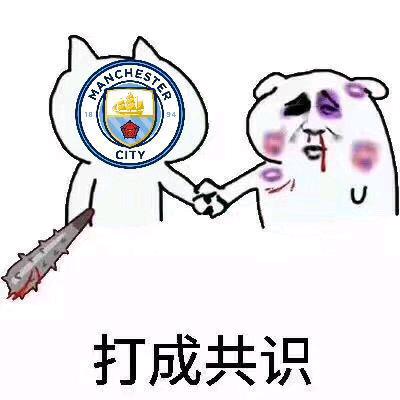 张伯伦英超,英超张伯伦最新视频