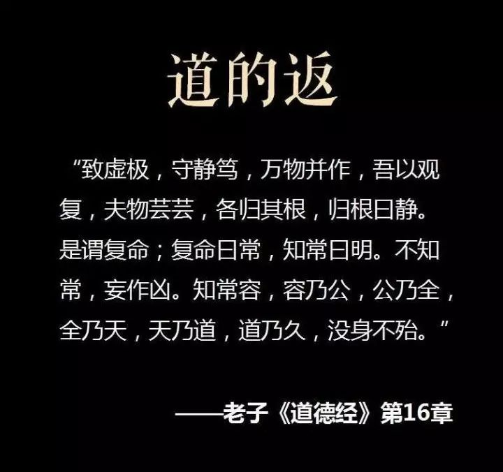 冯鑫智慧语录,冯鑫讲话