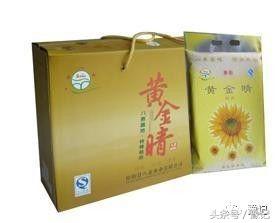 原阳为什么产大米,央视评价原阳大米