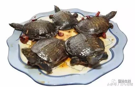 固始县有哪些著名小吃,河南信阳固始有什么美食