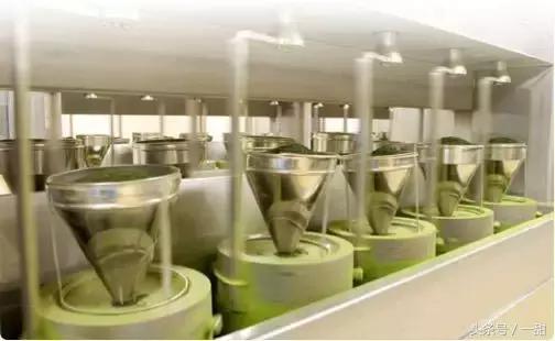 抹茶粉是怎么样制作的,抹茶粉一般是什么绿茶做的