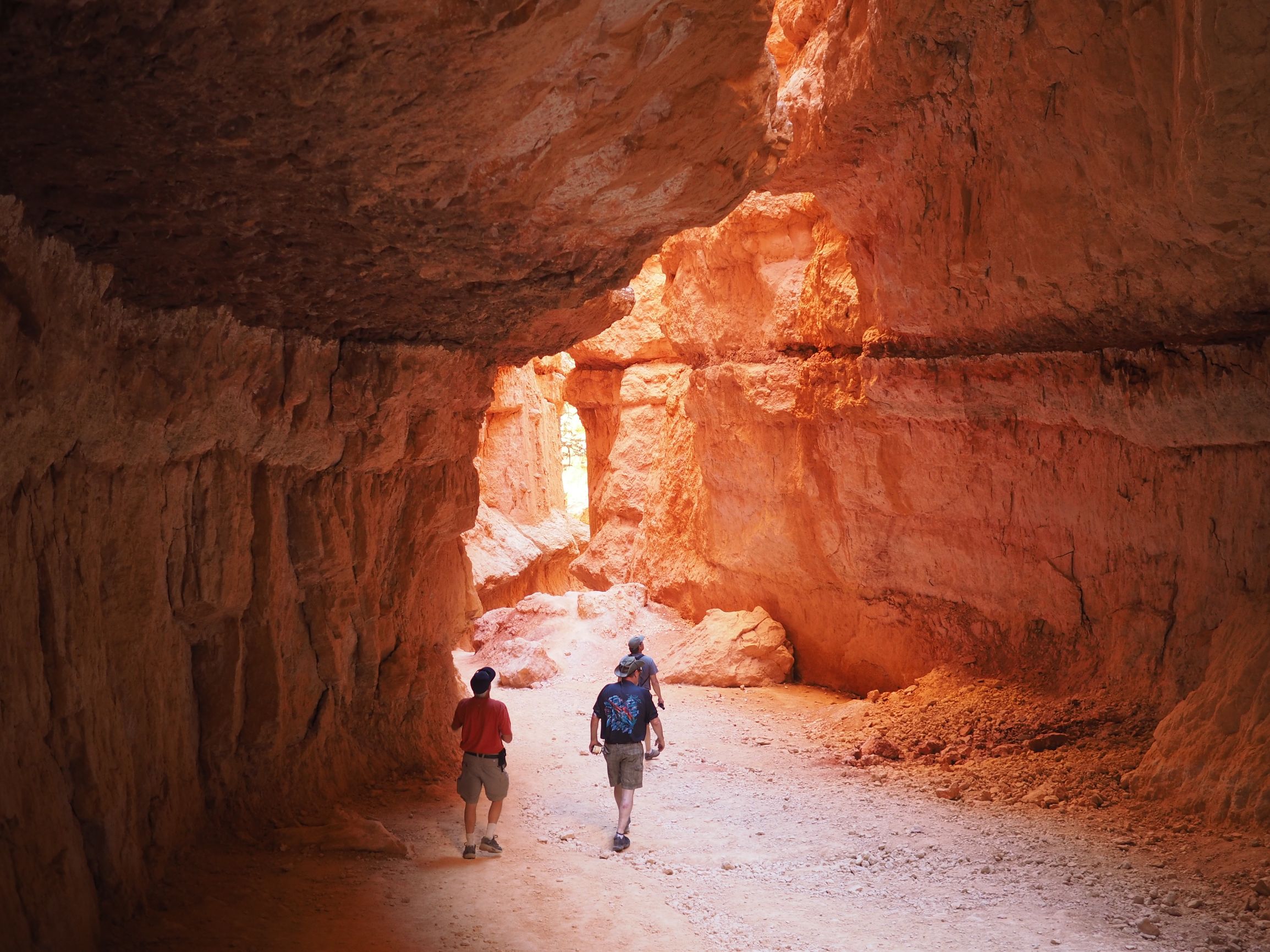 美国自驾游攻略最新,美国旅游攻略自由行