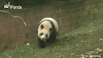 据说只要看到这双“雪地靴”，姑娘们都会挪不动脚！