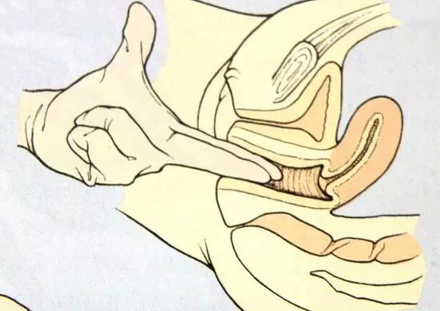 孕妇开5指到开10指需要多久,孕妇3指到10指怎么开得快