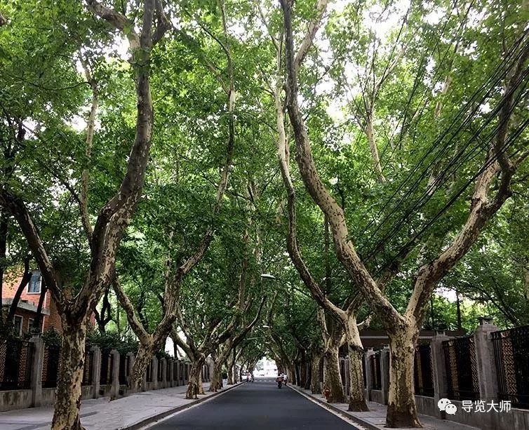 岳阳路有什么,岳阳路怎么样