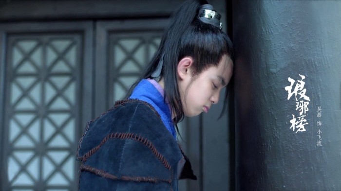 琅琊榜飞流武功排行,琅琊榜中飞流是第几高手