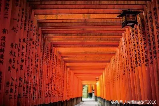 在日本最美的地方生活,在日本无拘无束做自己