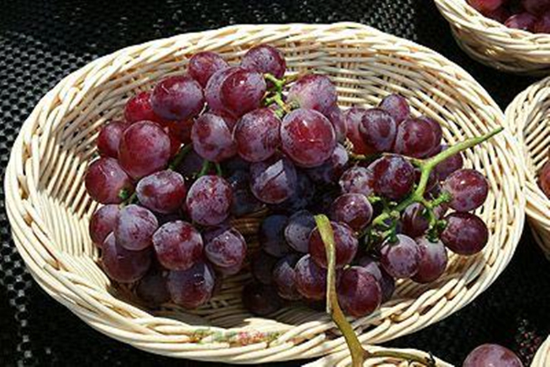 我的故乡彝族,我的故乡云南原唱