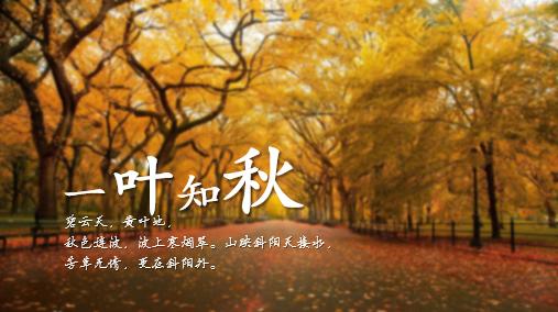 好看的ppt排版格局,ppt一张图排版高级感