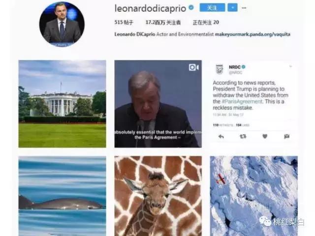 杩附鐑反鑷甫缇庨,鍏虫檽褰よ开涓界儹宸存棤缇庨