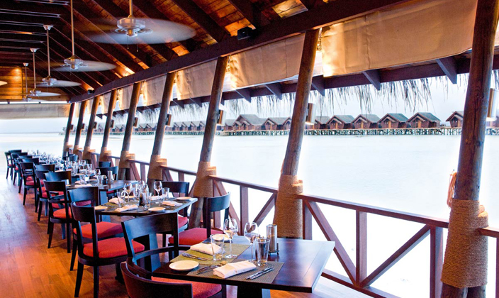 明星的马尔代夫之旅,明星去马尔代夫旅游