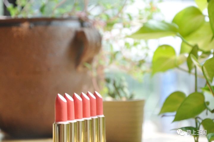 顶级植物油+进口SunChemical植物色粉，用心手作安全滋润口红