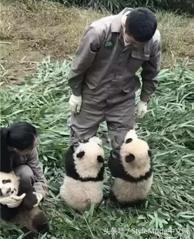 据说只要看到这双“雪地靴”，姑娘们都会挪不动脚！